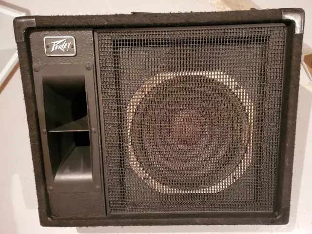 Moniteur Peavey 112 HS