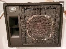 Moniteur Peavey 112 HS
