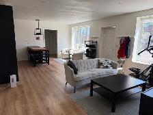 Newly Renovated, Fully Furnished 1-BR Apartment in Cargill