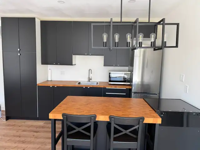 Newly Renovated, Fully Furnished 1-BR Apartment in Cargill - Photo 3