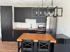 Newly Renovated, Fully Furnished 1-BR Apartment in Cargill - Photo 3
