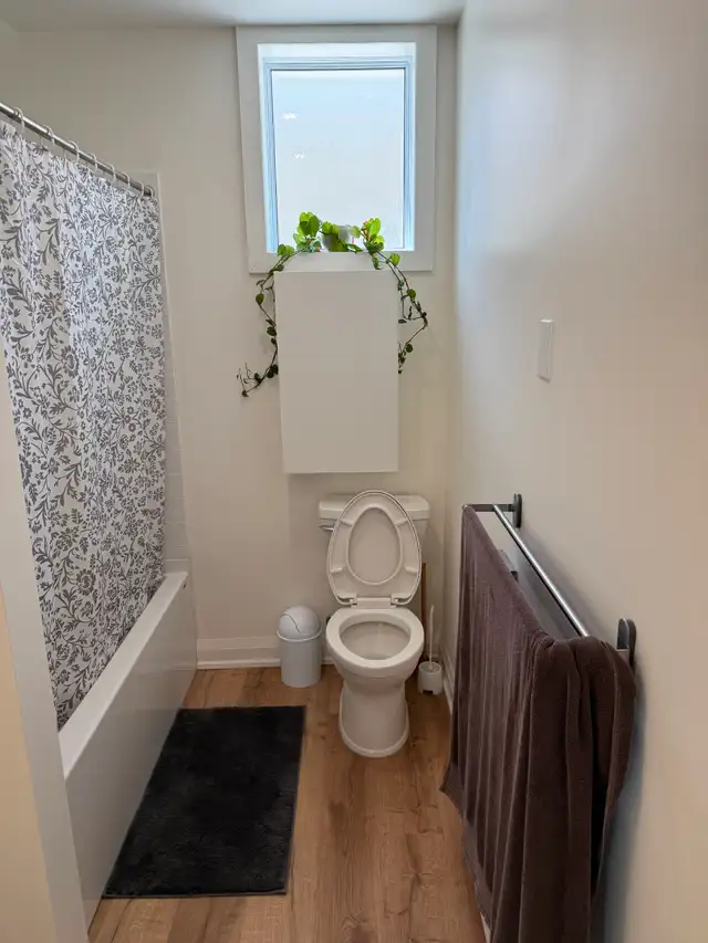 Newly Renovated, Fully Furnished 1-BR Apartment in Cargill - Photo 6