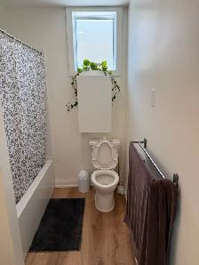 Newly Renovated, Fully Furnished 1-BR Apartment in Cargill - Photo 6