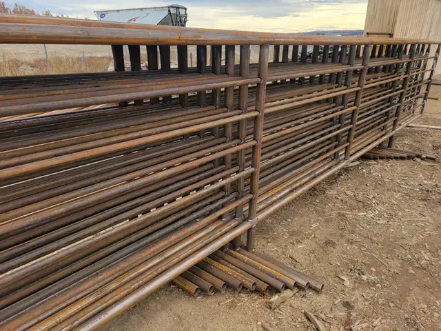 Custom Heavy-Duty Livestock Equipment & Metal Fabrication - Photo 6
