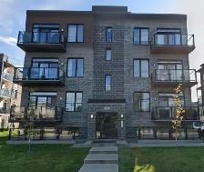 5 ½ St-Constant, 3 chamb, 2 balcons, toit terrasse, Juin/juillet
