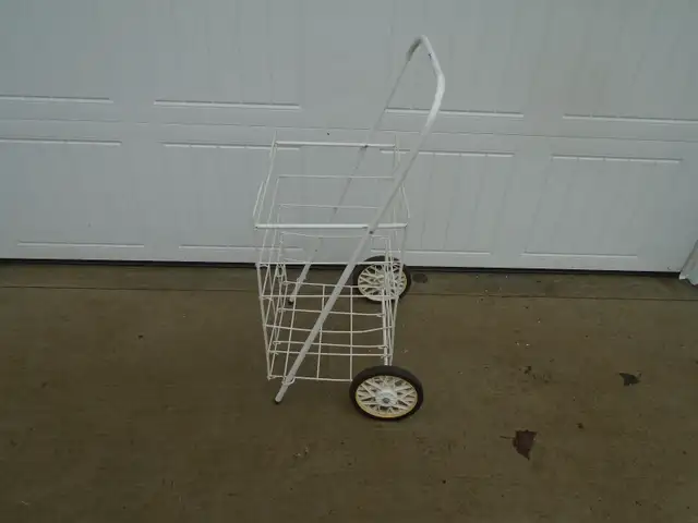 Shopping Cart - Photo 2