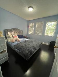 Rooms for rent