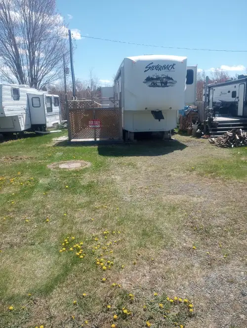 2011 Cedar Creek Silverback
