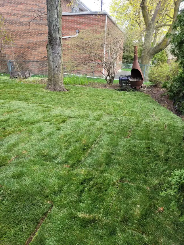 PM Lawn Sprinkler System installation