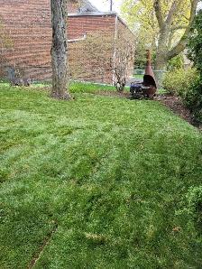 PM Lawn Sprinkler System installation