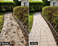 GRASS CUTTING / LAWN CARE - Photo 2