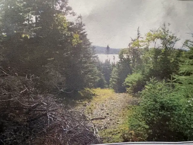 Land for Sale in Brigis Junction - Photo 2