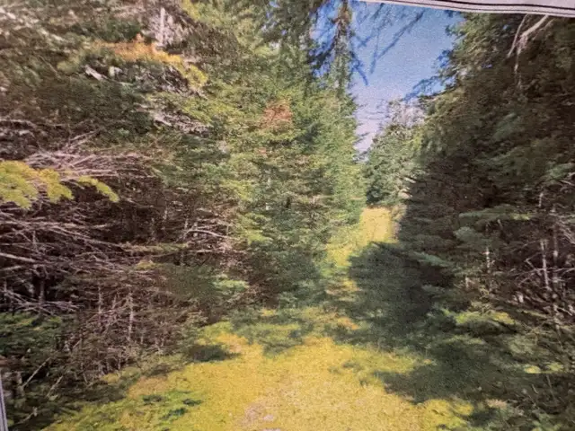 Land for Sale in Brigis Junction - Photo 4