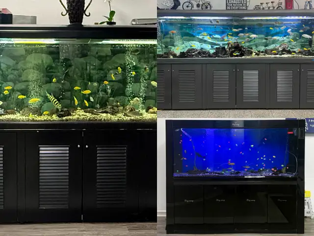 FOR SALE 3 280 GALLON FISH TANK - $2000/EACH FISH NOT INCLUDED