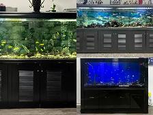 FOR SALE 3 280 GALLON FISH TANK - $2000/EACH FISH NOT INCLUDED