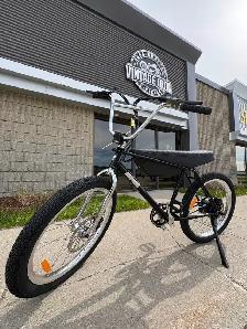 Zooz Ultra Urban Pro Electric Bike