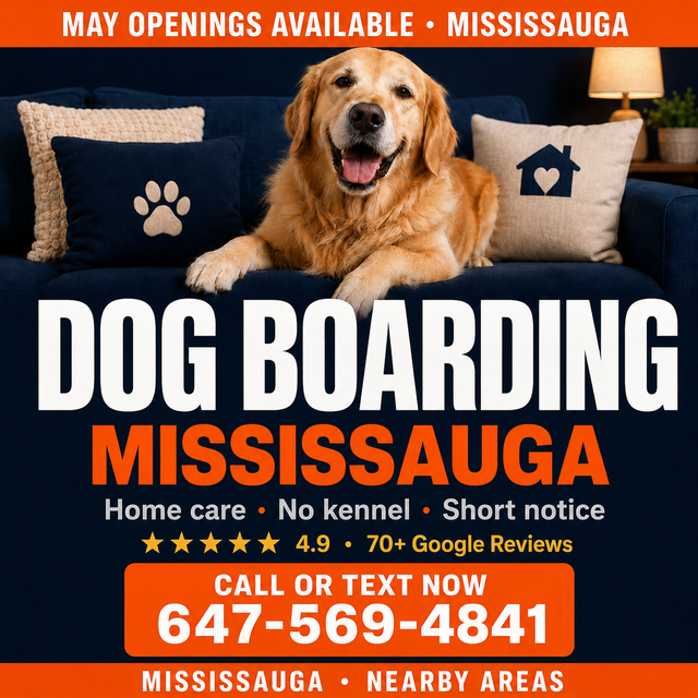 Home Dog Boarding Mississauga – No Kennels | Near Square One