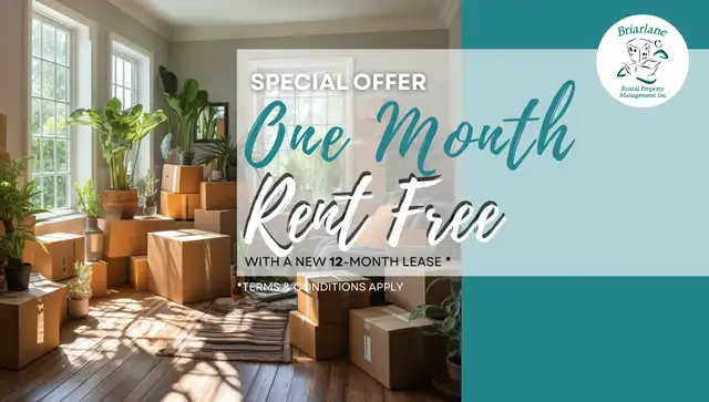 1 Bedroom Apartment for Rent - Downtown London