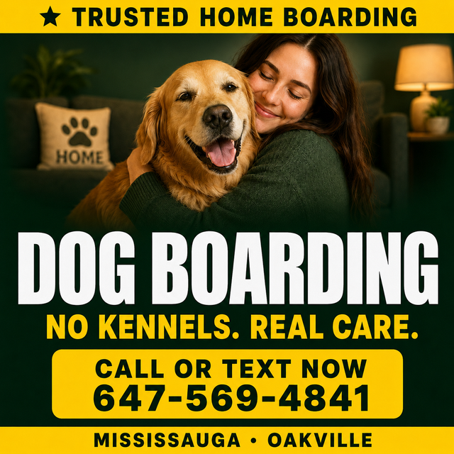 Dog Boarding Mississauga – Trusted Home Care | No Kennels