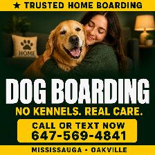 Dog Boarding Mississauga – Trusted Home Care | No Kennels
