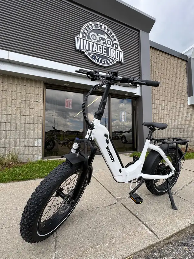 Synergy Icon Low Step Electric Bike