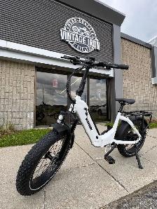 Synergy Icon Low Step Electric Bike