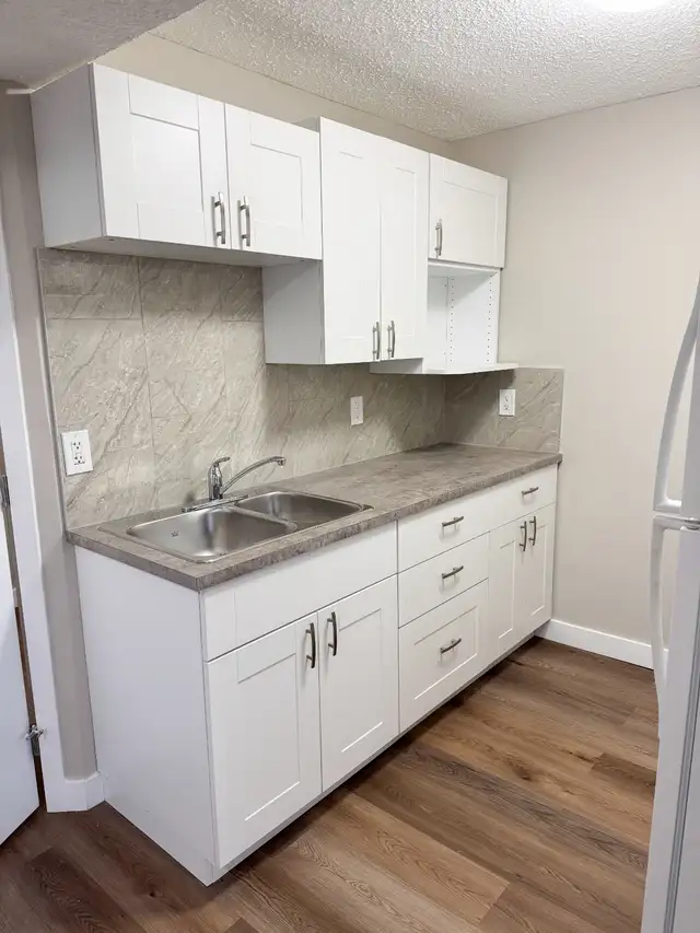 LOCATION!Walk 2 LRT/grocry-2BR LEGAL Bsmt-new bath/kitchn-pet ok