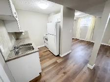 LOCATION!Walk 2 LRT/grocry-2BR LEGAL Bsmt-new bath/kitchn-pet ok - Photo 2