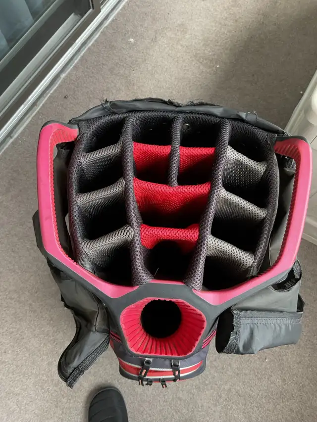 Bag Boy golf bag,