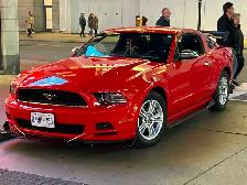 2014 Ford Mustang, low mileage - Photo 6