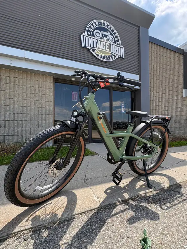 Radster Trail Electric Bike