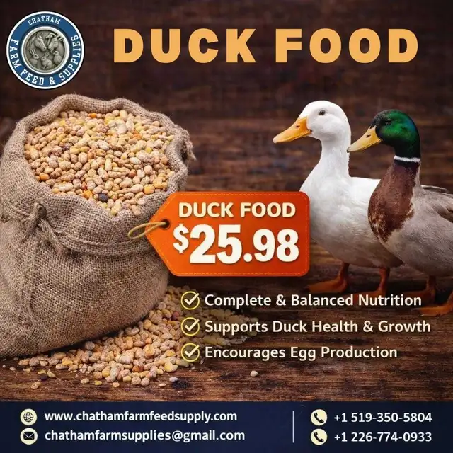 Jones Duck Food