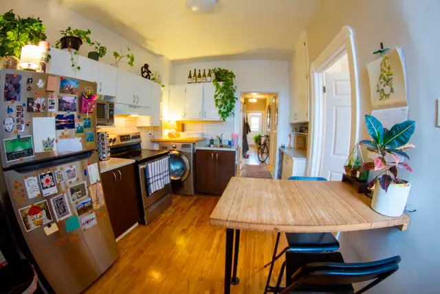 Appartement à louer à Verdun, 5 ½ très propre 2 ieme étage - Photo 4