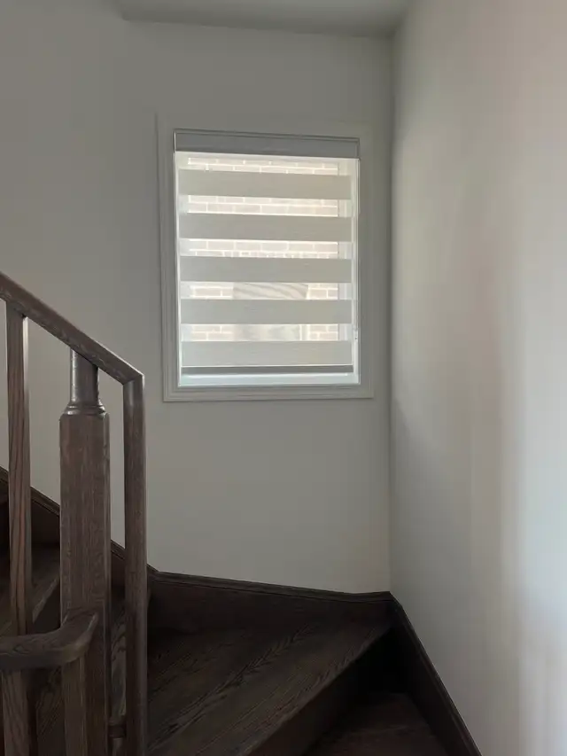 Zebra Blinds, Rollers  free quote - Photo 8