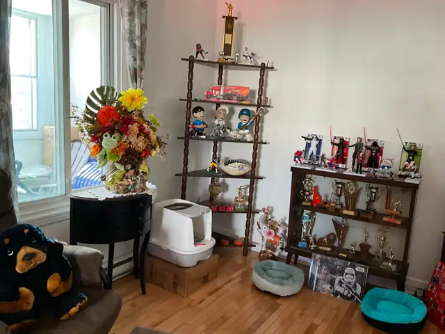 PORTE OUVERTE INTÉRIEUR / SUR RENDEZ-VOUS SEULEMENT - Photo 9
