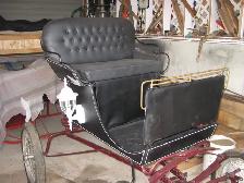 Useable Light Weight Doctor's Speed Buggy - Photo 2