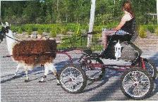 Useable Light Weight Doctor's Speed Buggy - Photo 3