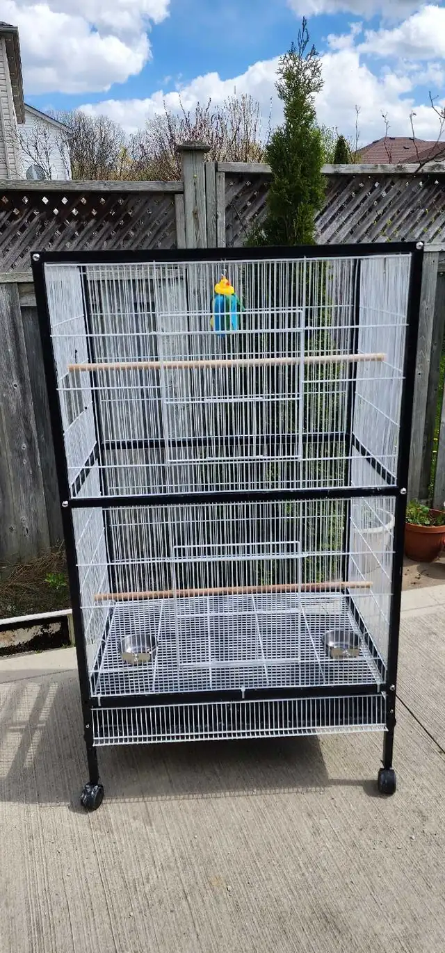 LARGE BIRDS CAGE