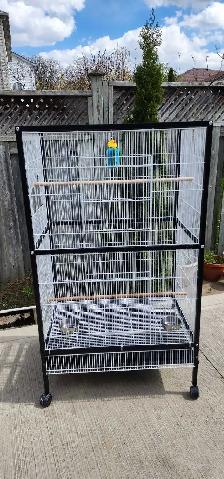 LARGE BIRDS CAGE