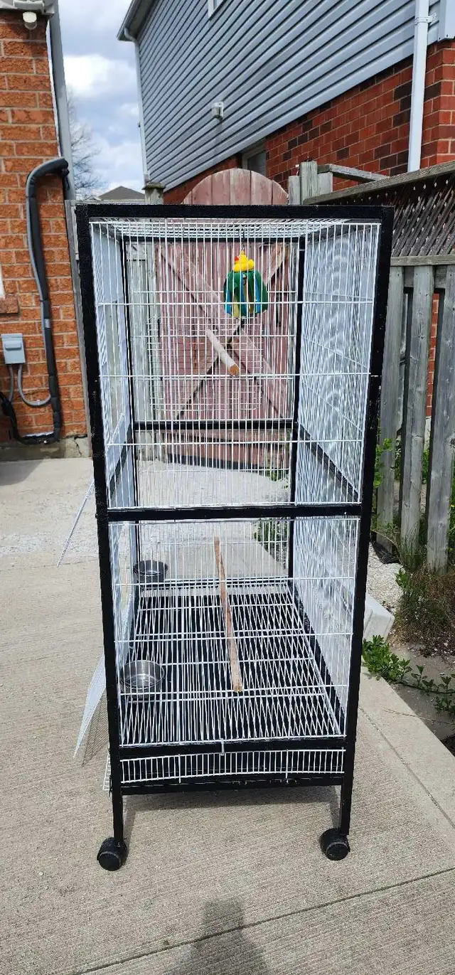 LARGE BIRDS CAGE - Photo 3