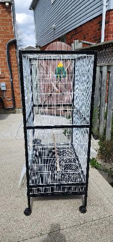 LARGE BIRDS CAGE - Photo 3