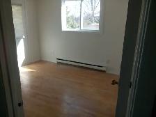 Single home in Carleton Heights with fenced-in private yard. - Photo 7
