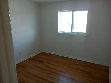 Single home in Carleton Heights with fenced-in private yard. - Photo 8