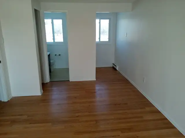 Single home in Carleton Heights with fenced-in private yard. - Photo 14