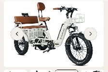 Ridex Passenger and Cargo e-bike