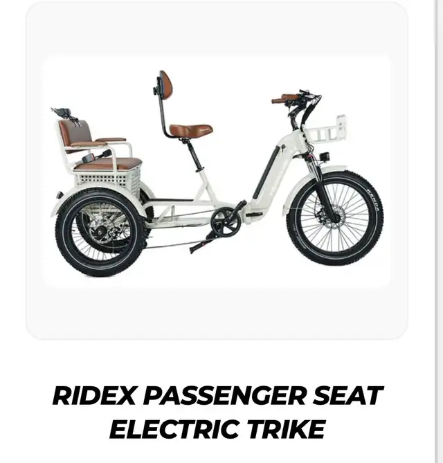 Ridex Passenger and Cargo e-bike - Photo 3