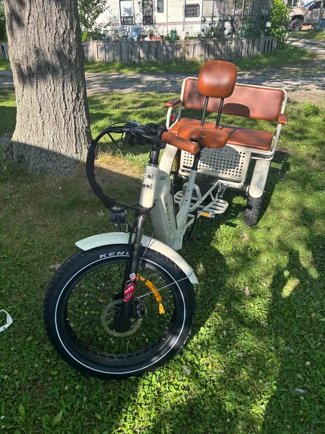 Ridex Passenger and Cargo e-bike - Photo 5
