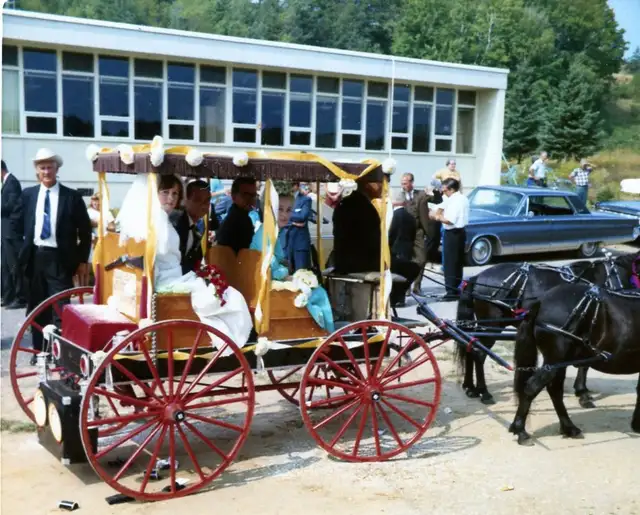 1880 -2 Seat Surrey in Great Condition