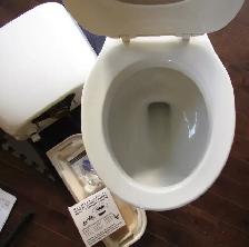 White Sterling Toilet wax ring and hardware