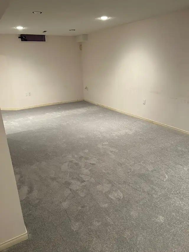 QUALITY CARPET INSTALL – WARRANTY INCLUDED - Photo 5